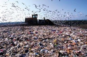 Lixo em Curitiba: lixões, aterros e espaços irregulares